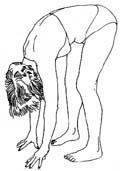 Exercício Básico de Vibração e "Grounding"